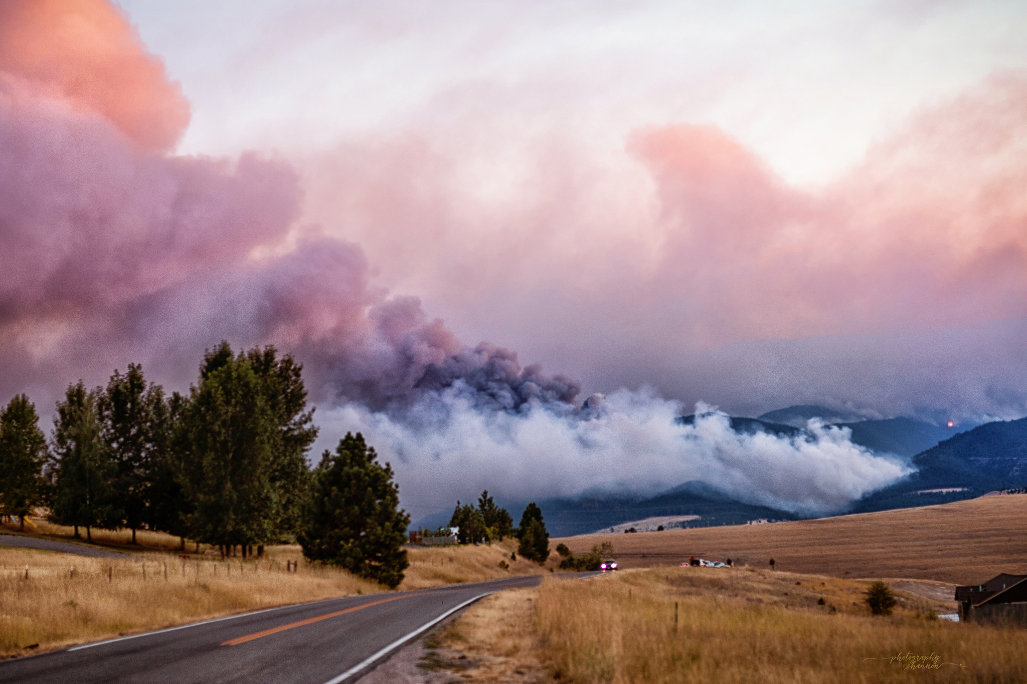 Wildfire smoke in the Rattlesnake