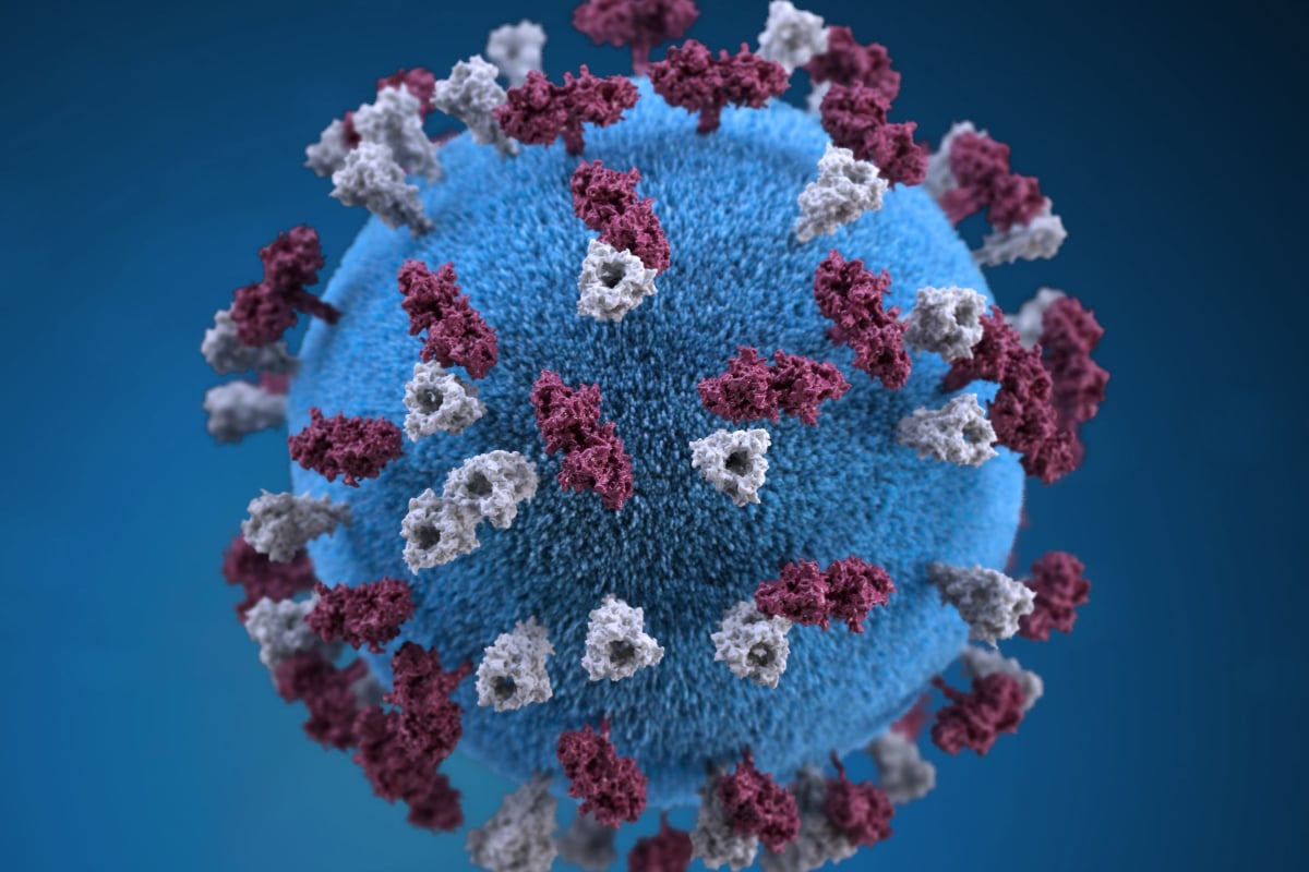 A blue and red germ representing infectious disease.