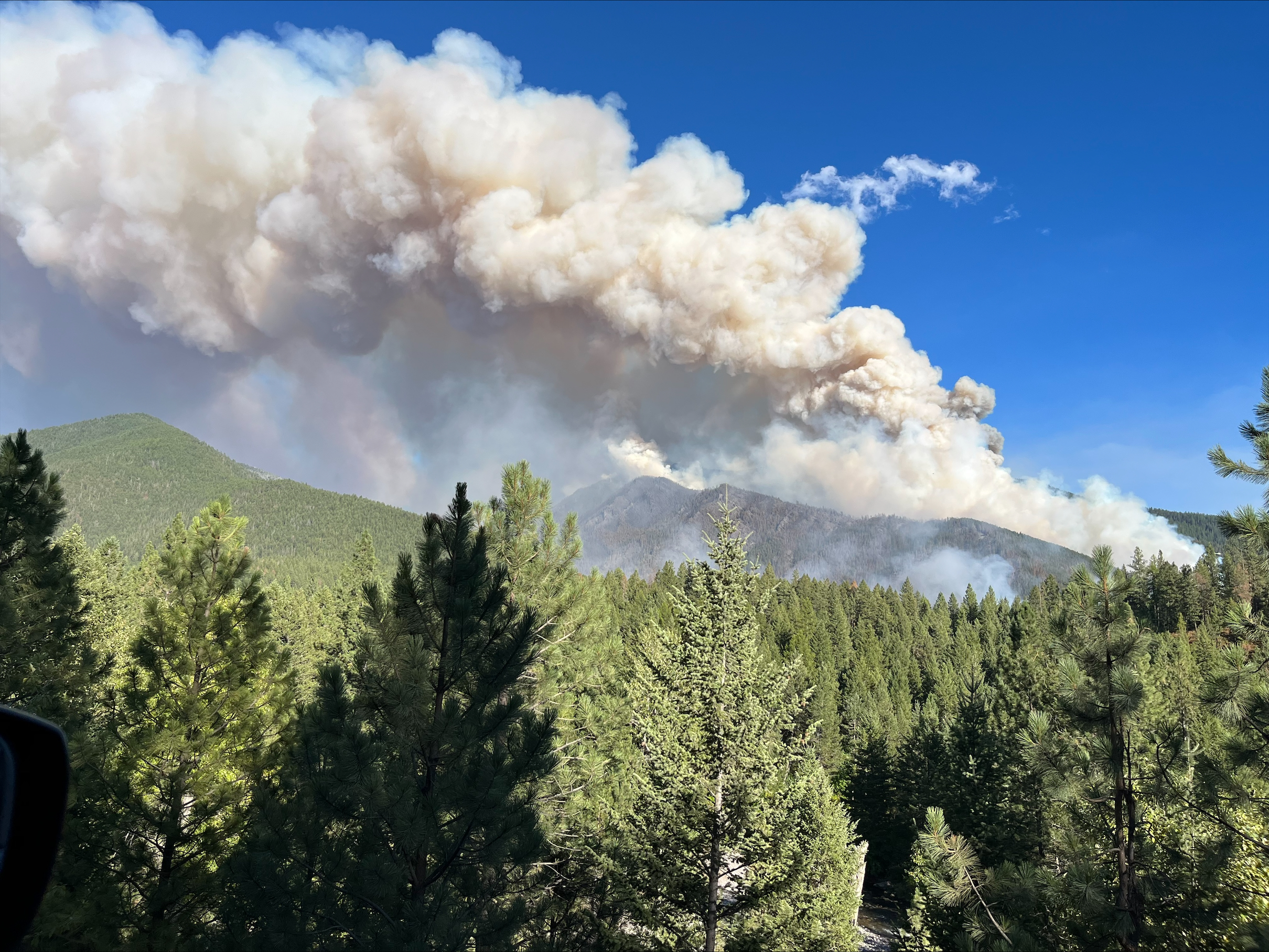 A large cloud of smoke over green trees.