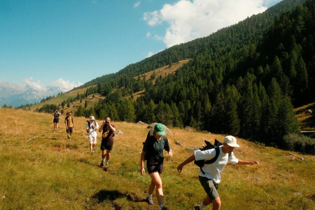 A group of people hiking in the green mountains with backpacks.